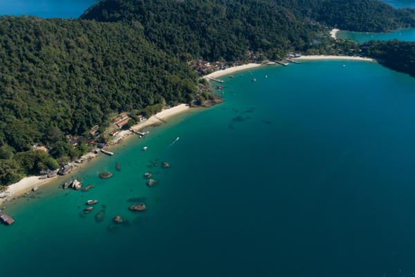Paradisíacas Plus - Image 5